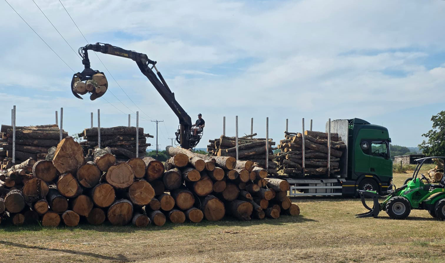 Responsibly sourced timber