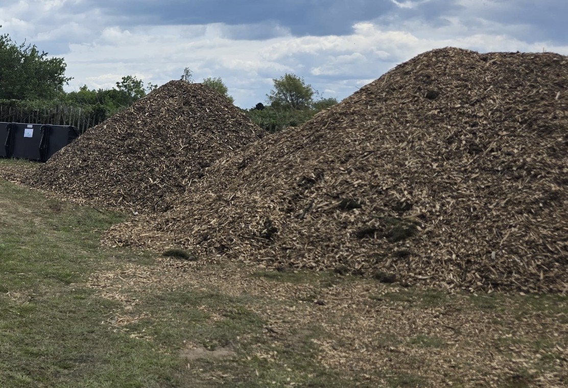 Wood Chip